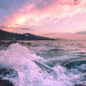 Meet your Posher, Lara